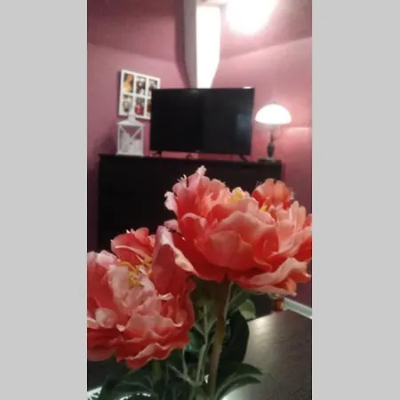 Nowoczesne Mieszkanie Blisko Natury I Sklepu Biedronka קרפאז'