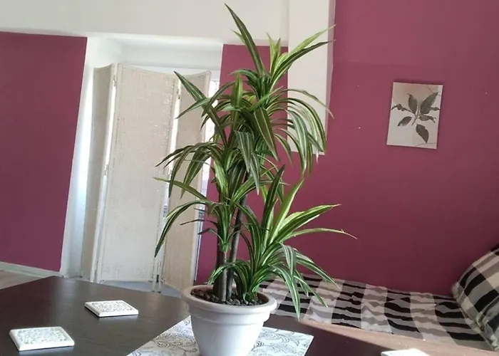 Nowoczesne Mieszkanie Blisko Natury I Sklepu Biedronka Apartman *