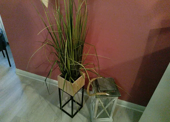 Apartman Nowoczesne Mieszkanie Blisko Natury I Sklepu Biedronka