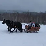 Nowoczesne Mieszkanie Blisko Natury I Sklepu Biedronka * Karpacz