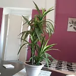Nowoczesne Mieszkanie Blisko Natury I Sklepu Biedronka Apartamento *