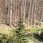 Nowoczesne Mieszkanie Blisko Natury I Sklepu Biedronka Apartamento *