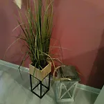 Apartamento Nowoczesne Mieszkanie Blisko Natury I Sklepu Biedronka