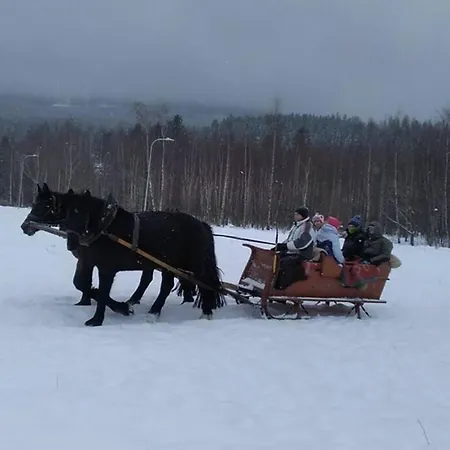 Nowoczesne Mieszkanie Blisko Natury I Sklepu Biedronka * Karpacz