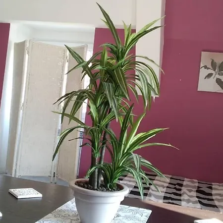 Nowoczesne Mieszkanie Blisko Natury I Sklepu Biedronka Apartment *