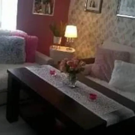 Nowoczesne Mieszkanie Blisko Natury I Sklepu Biedronka Apartment