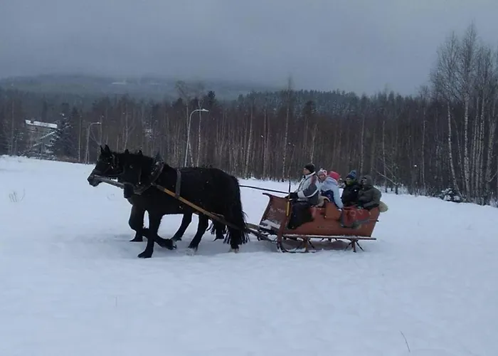 Nowoczesne Mieszkanie Blisko Natury I Sklepu Biedronka * Карпач