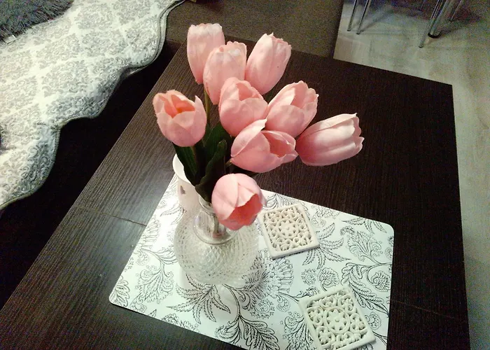 Nowoczesne Mieszkanie Blisko Natury I Sklepu Biedronka *